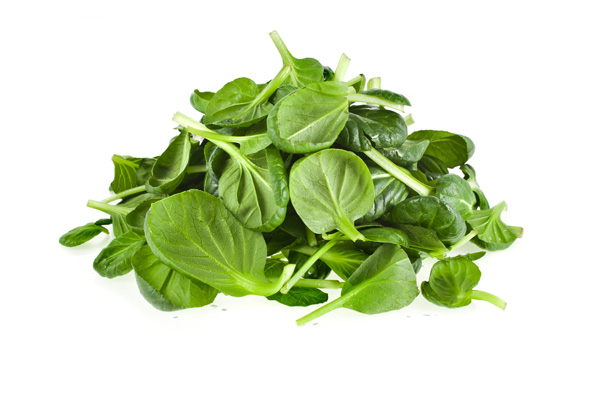 Image of foods high in Lutein and Zeaxanthin